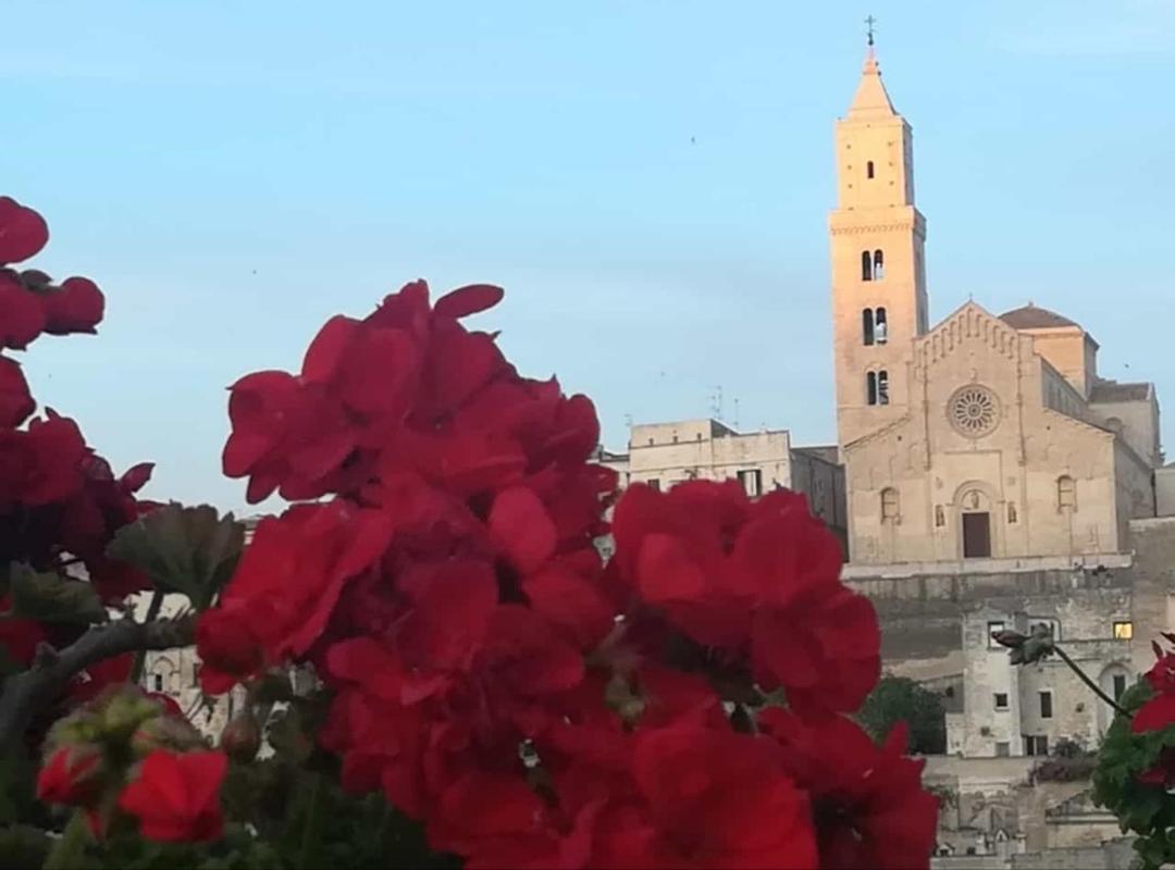 הוילה מטרה Il Corbezzolo מראה חיצוני תמונה