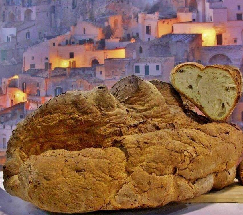 הוילה מטרה Il Corbezzolo מראה חיצוני תמונה