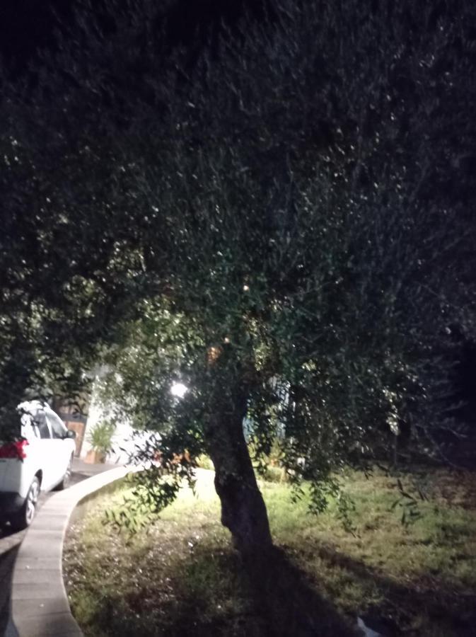הוילה מטרה Il Corbezzolo מראה חיצוני תמונה
